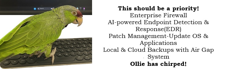  This Should be a priority! Enterprise Firewall AI-powered Endpoint Detection & Response(EDR) Patch Management-Update OS & Applications Local & Cloud Backups-with Aid Gap System Ollie has chirped!